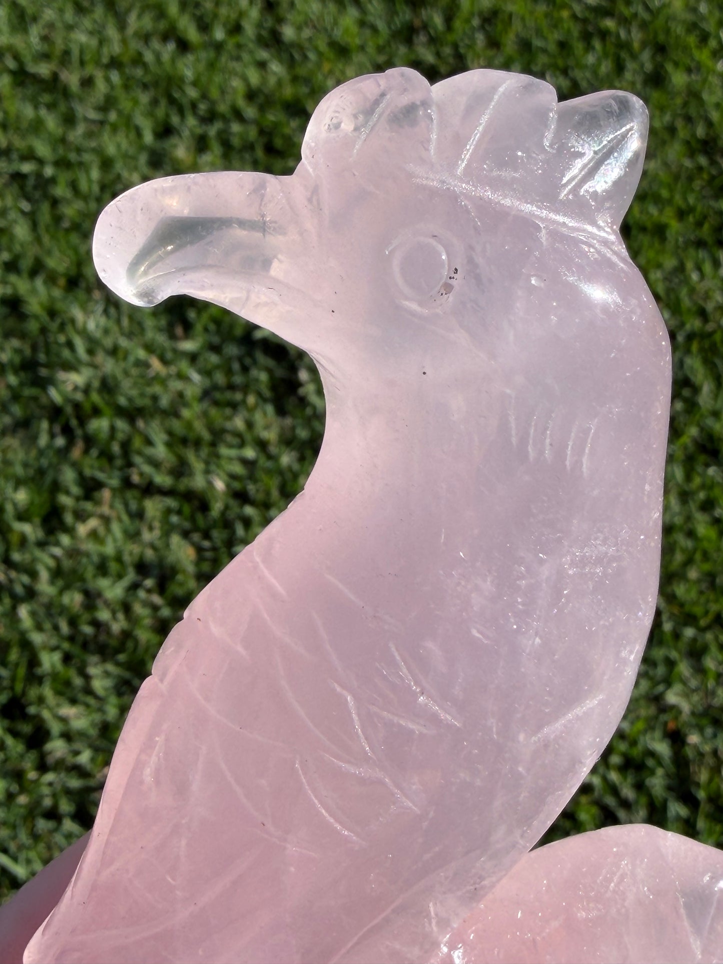 Rose Quartz Parrot Carving – 500g