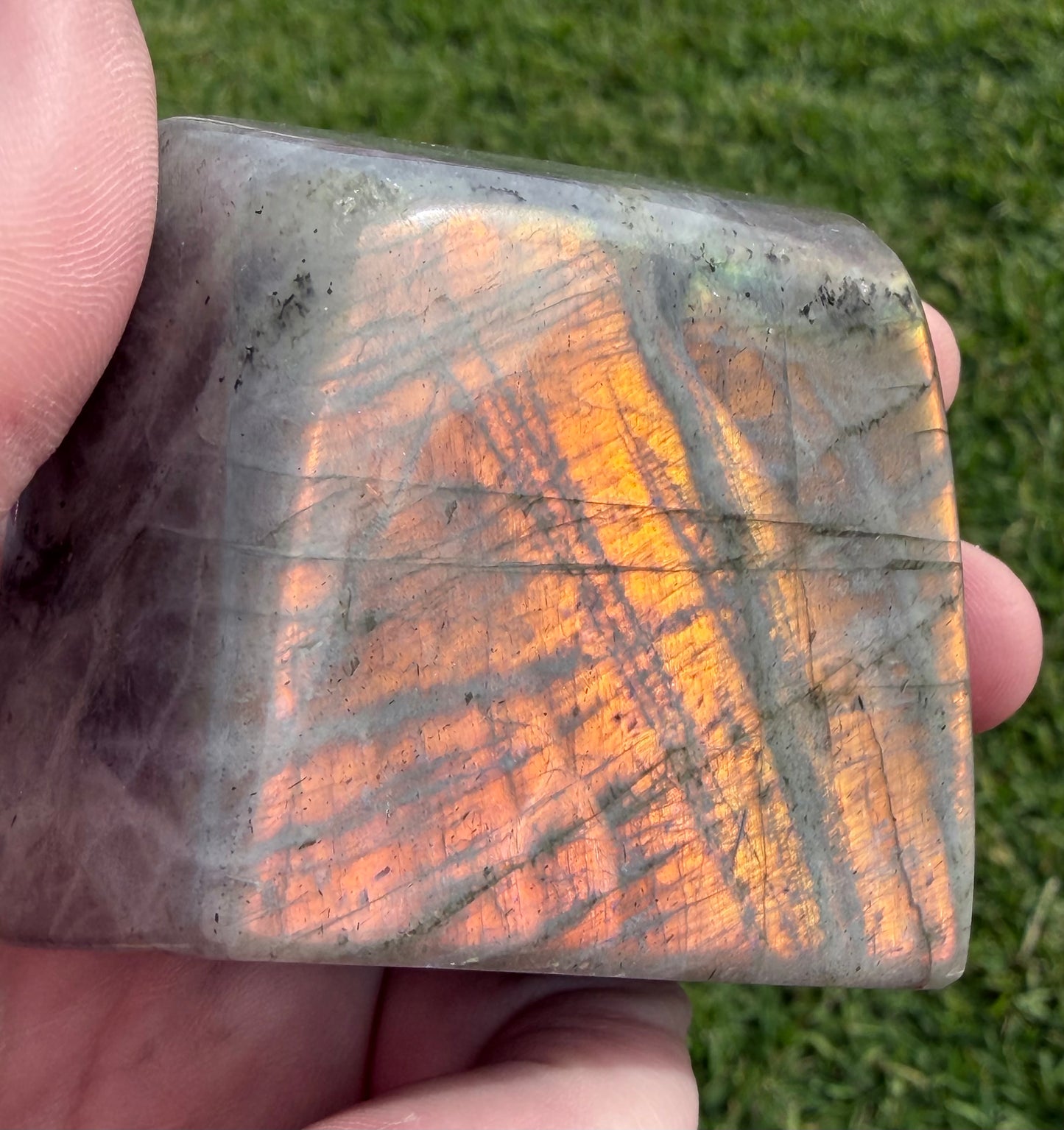 Sunset Flash Labradorite Freeform – 223g