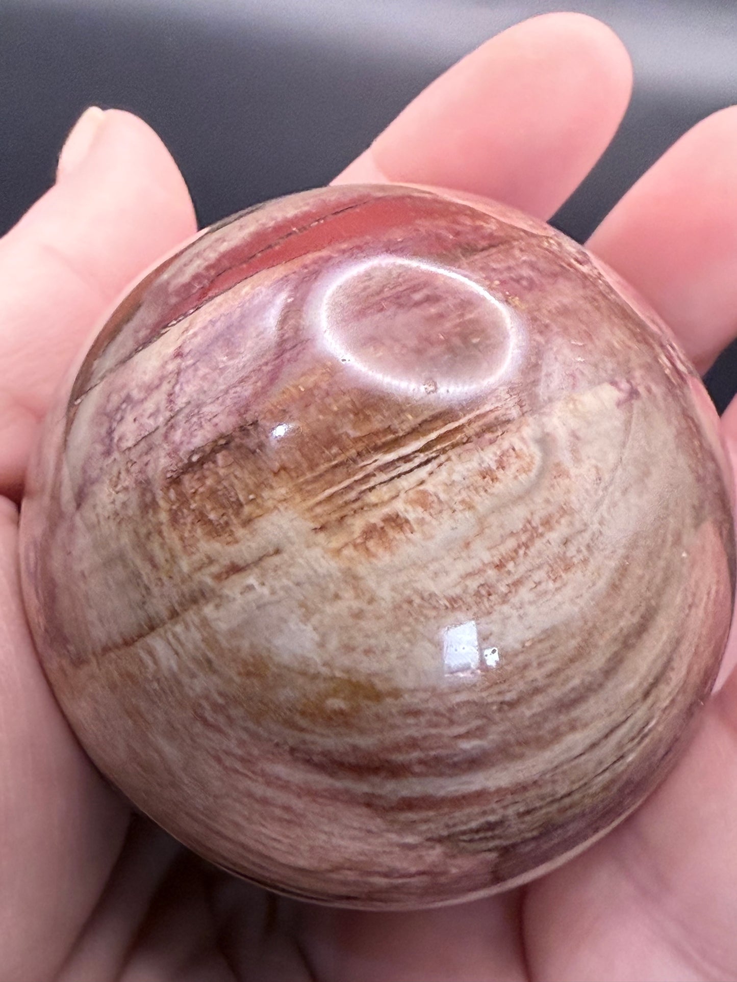 Petrified Wood Sphere
