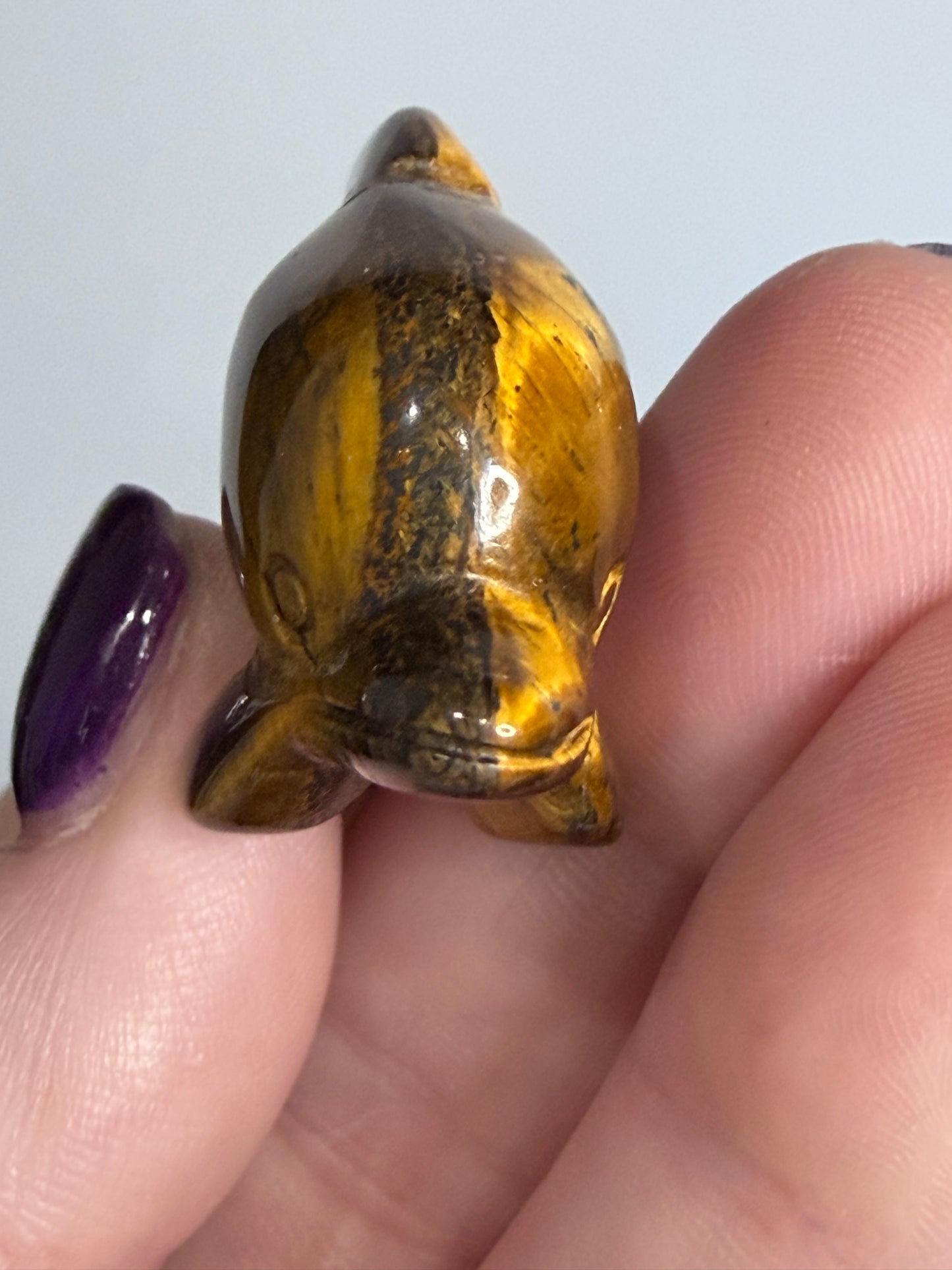 Tiger’s Eye Dolphin Carving