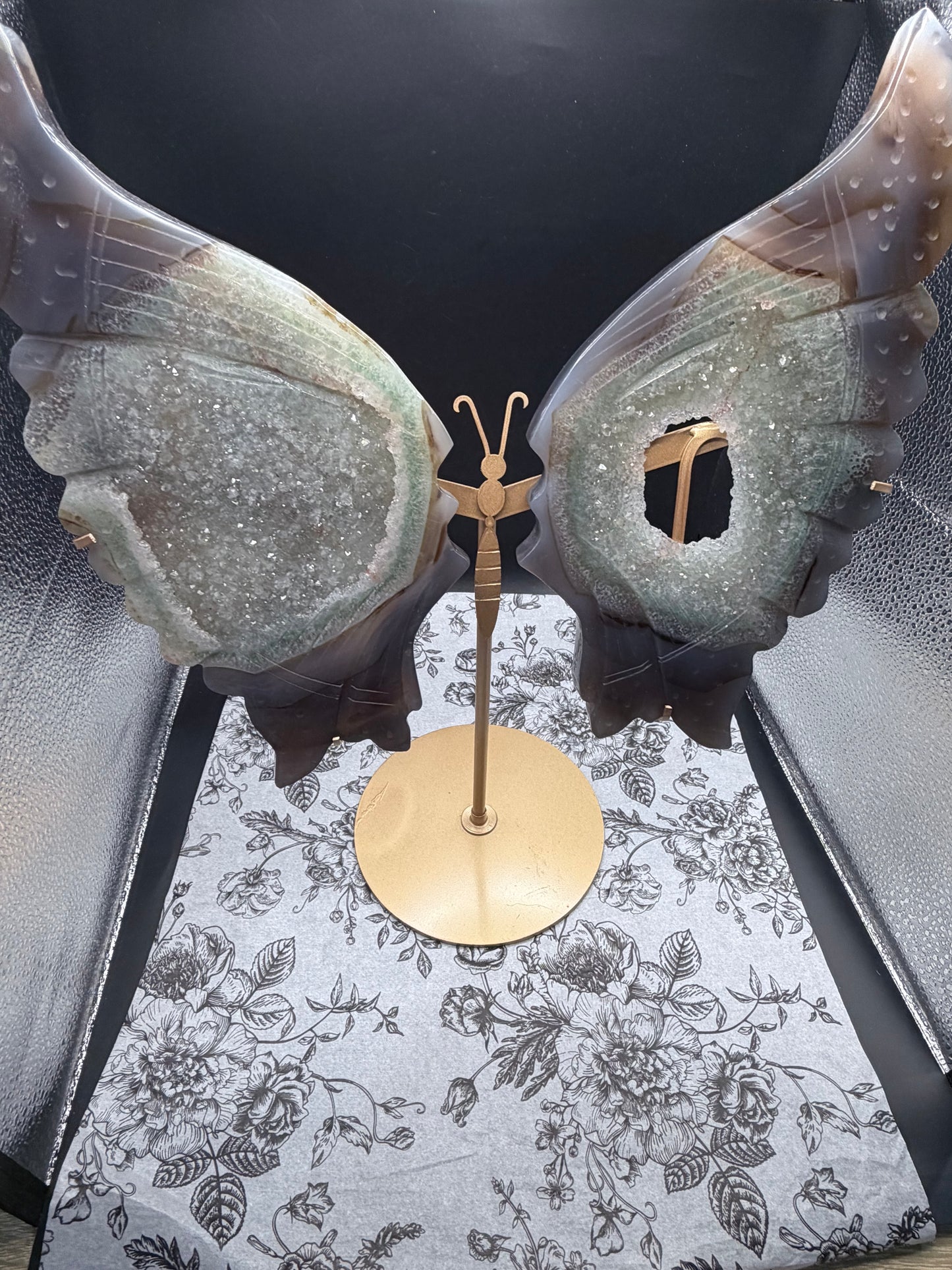 Large Agate + Quartz Druzy Butterfly Wings
