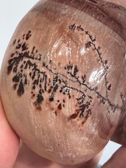 Picture Jasper Skull Carving – 300g