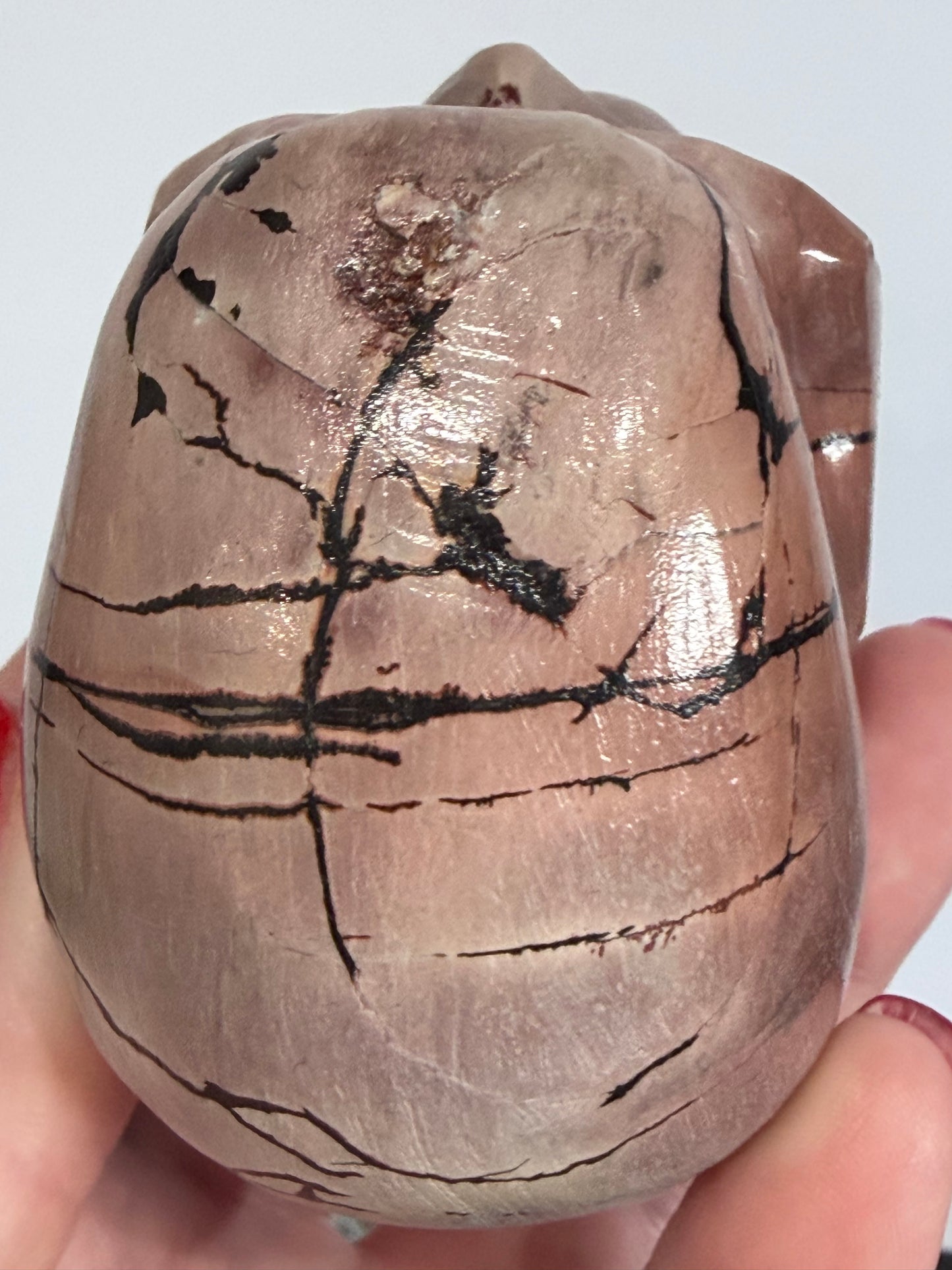Picture Jasper Skull Carving – 338g