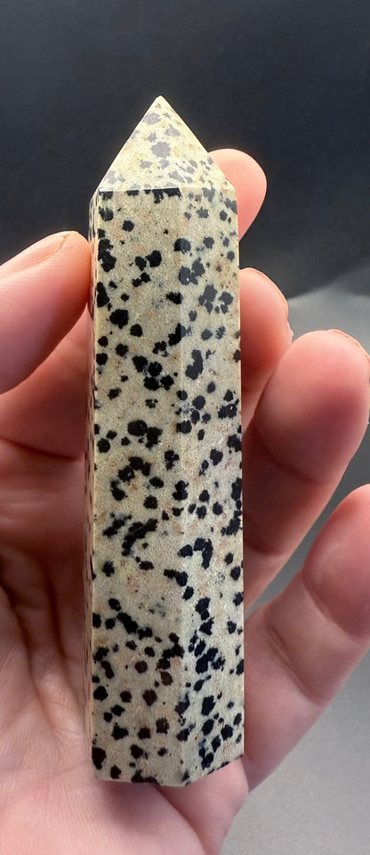 Dalmatian Jasper Towers - Crystal wonderland By Lisa