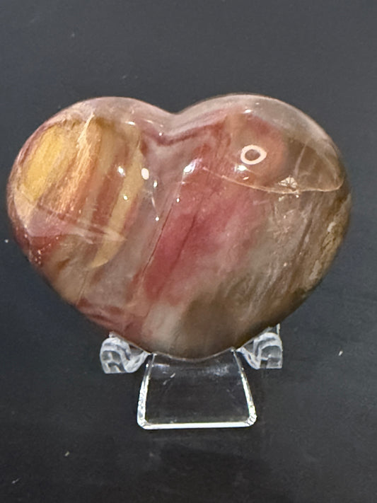 Petrified Wood Heart 🤎 B