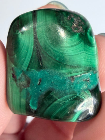 Malachite Polished Tumble – Natural Banded & Orbicular D -
