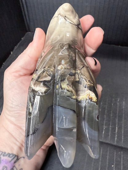 Volcano Agate Dragon Head | 636g | 12.5 × 8.5cm | Amazing Patterns (UV Bonus)