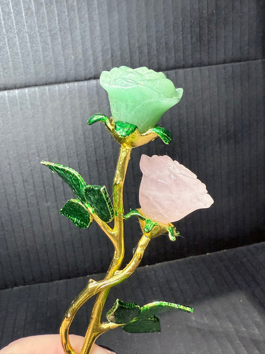 Double stem Rose