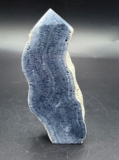 Blue Coral Specimen Tower – Large