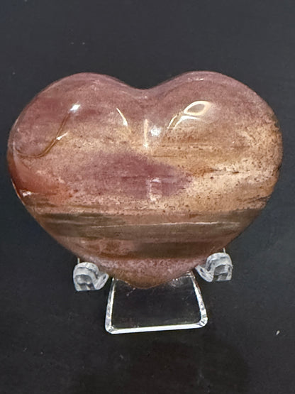 Petrified Wood Heart 🤎 C