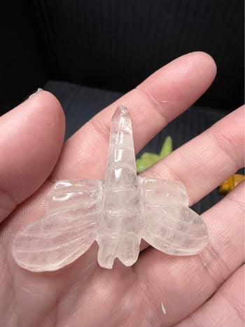 Small Dragonfly Carvings