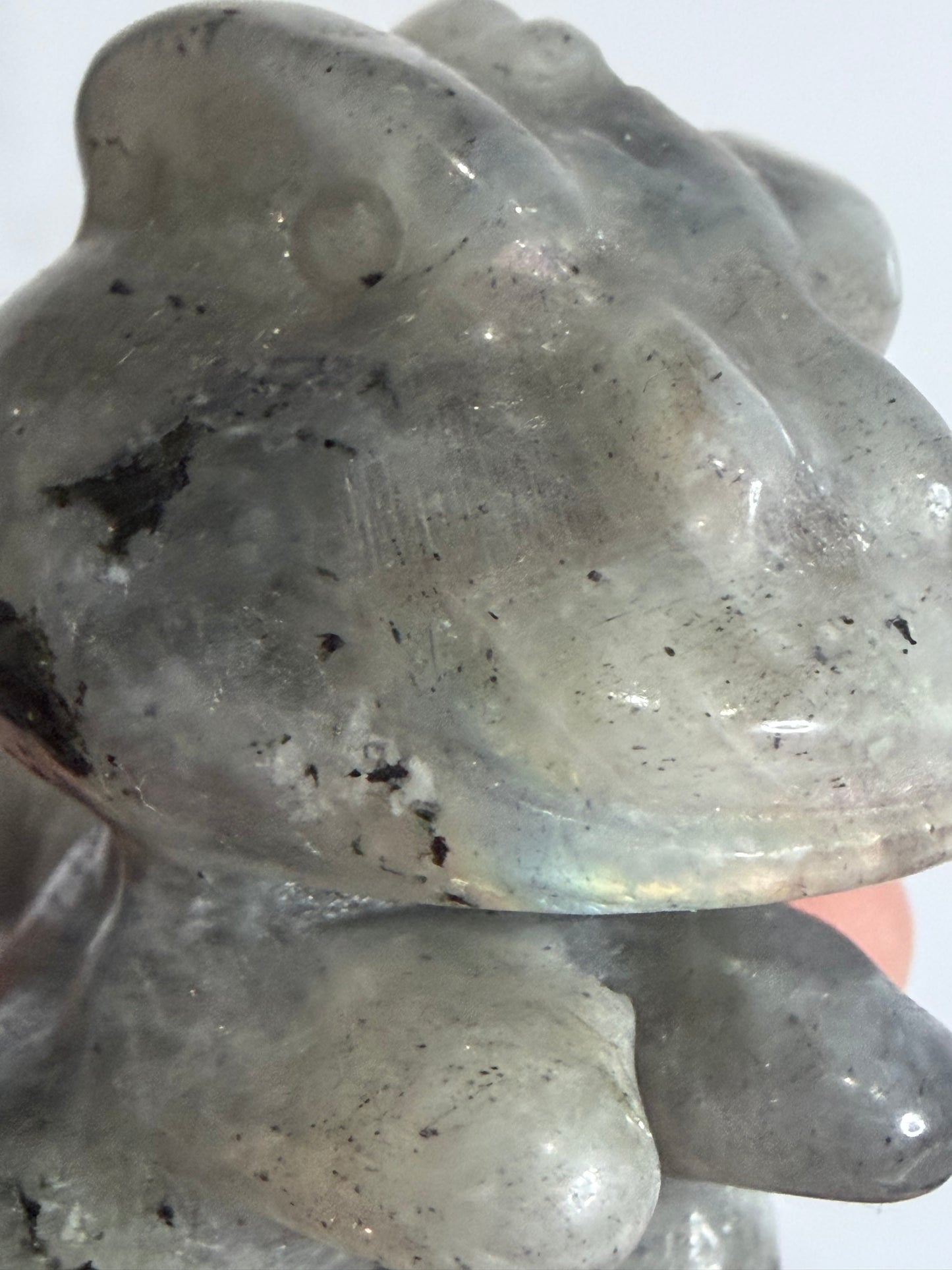 6cm Labradorite T-Rex Crystal Carving