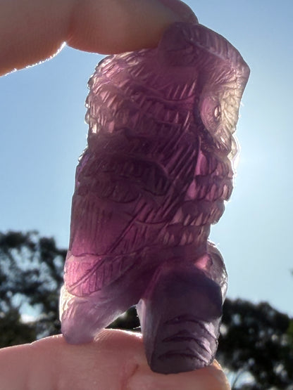 Sunset Rainbow Fluorite Owl Carving – 5.1cm