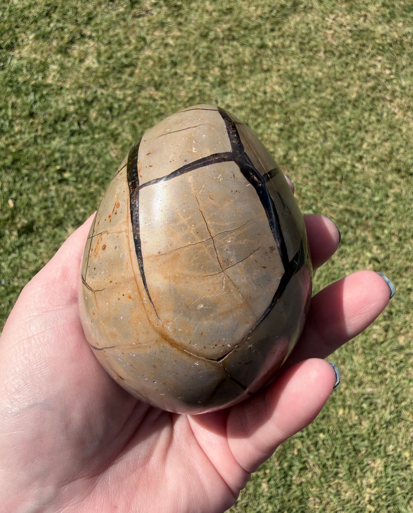 Septarian Druzy Egg — 500 g (9.1 × 5.7 cm) Dragon Stone