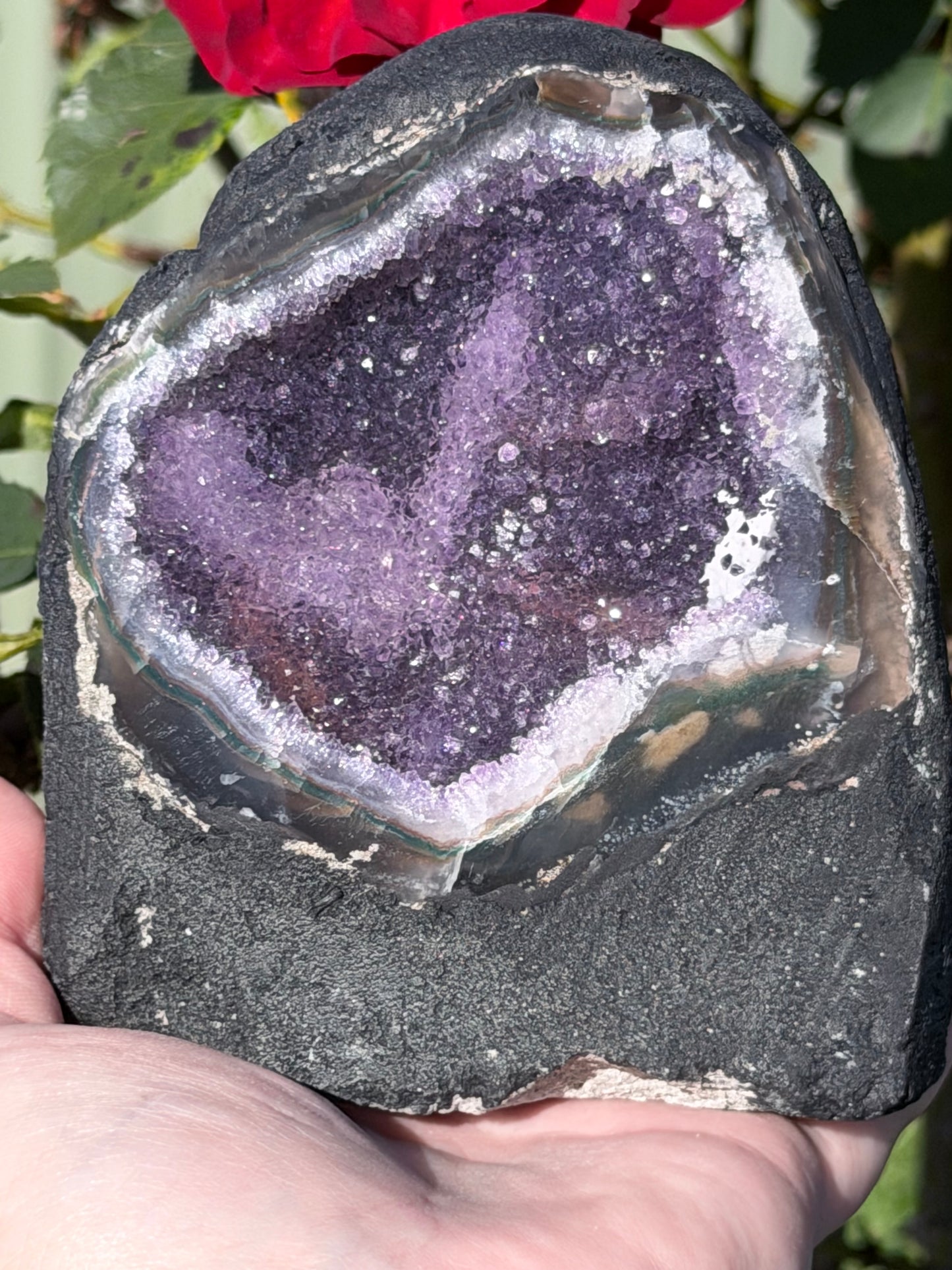 Brazilian Amethyst Druzy Cave Geode – 954g F