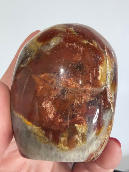 Petrified Wood Skull Crystal Carving – 364g (7 × 8 cm) A
