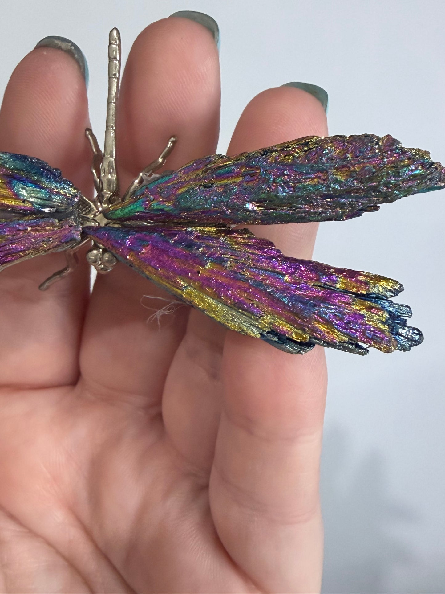 Aura Kyanite Dragonfly – 9cm