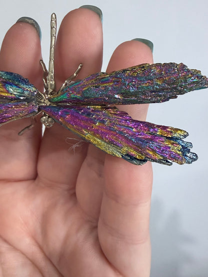 Aura Kyanite Dragonfly – 9cm