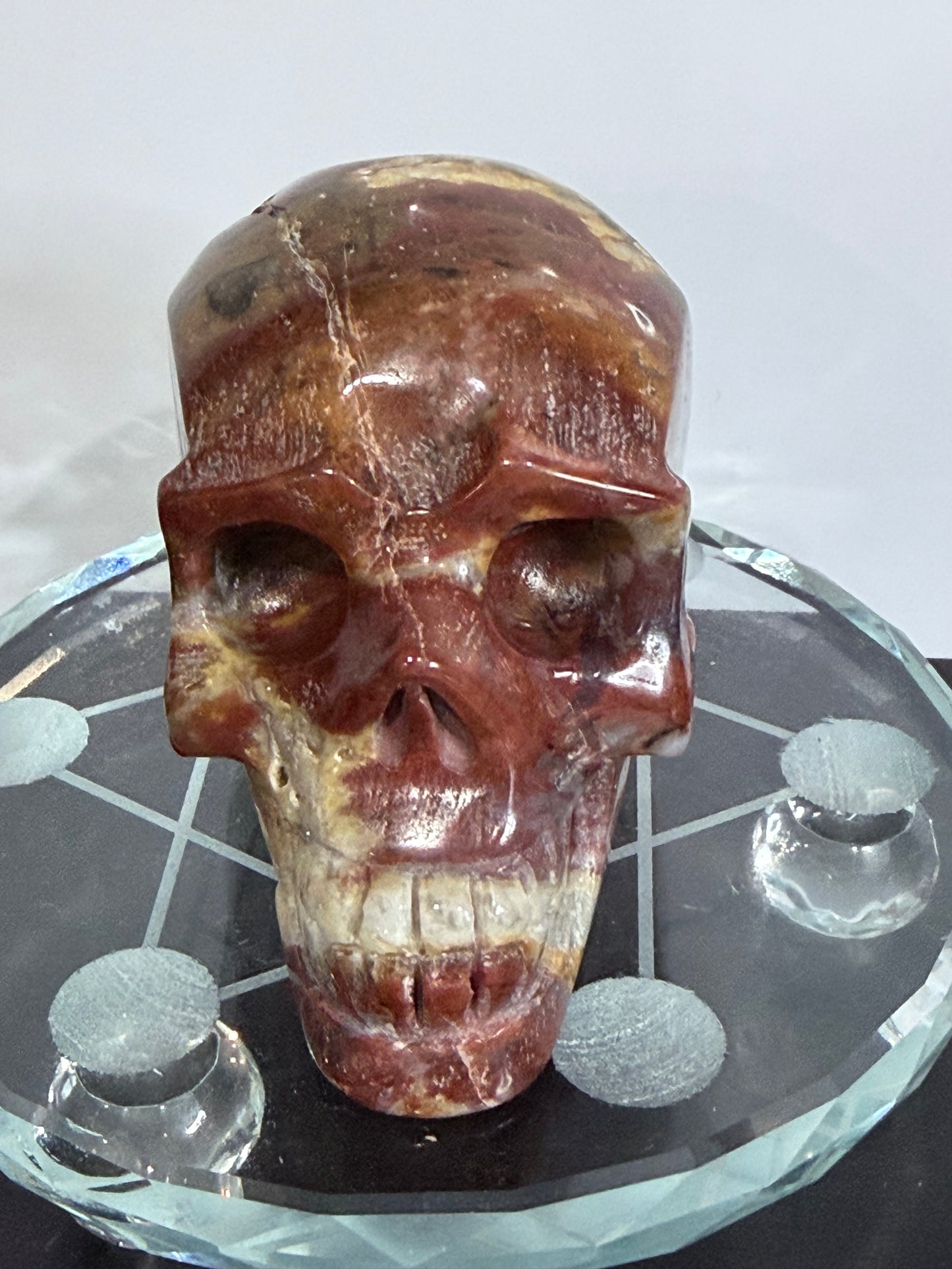Petrified Wood Crystal Skull – 357g | 7 × 8 cm B