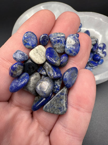 Lapis Lazuli Chips 50gm
