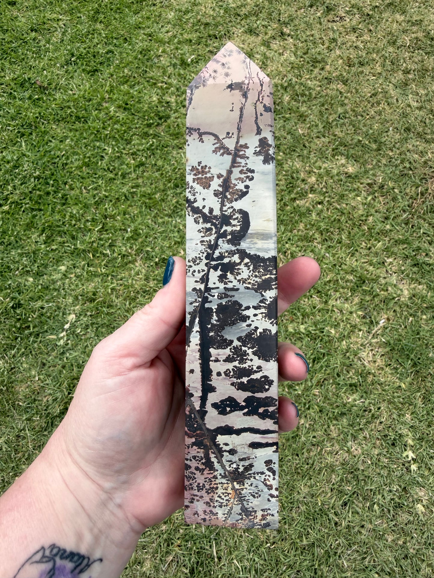 Picture Jasper with Dendritic Inclusions