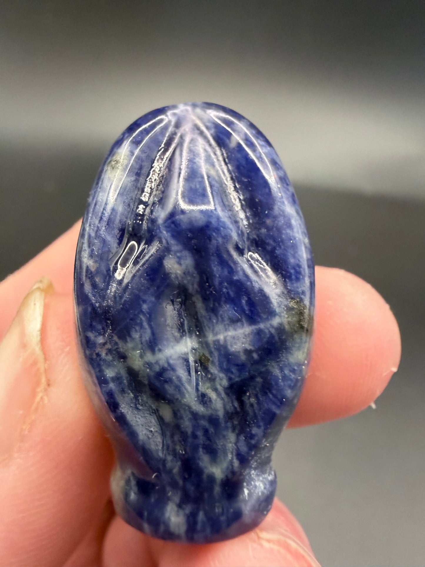 Sodalite Source of Life Carving