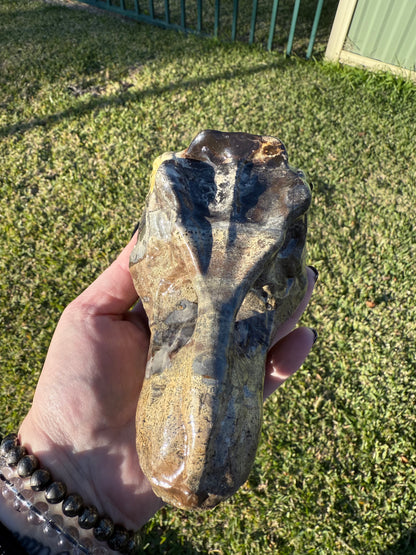 Picture Jasper Dino Skull