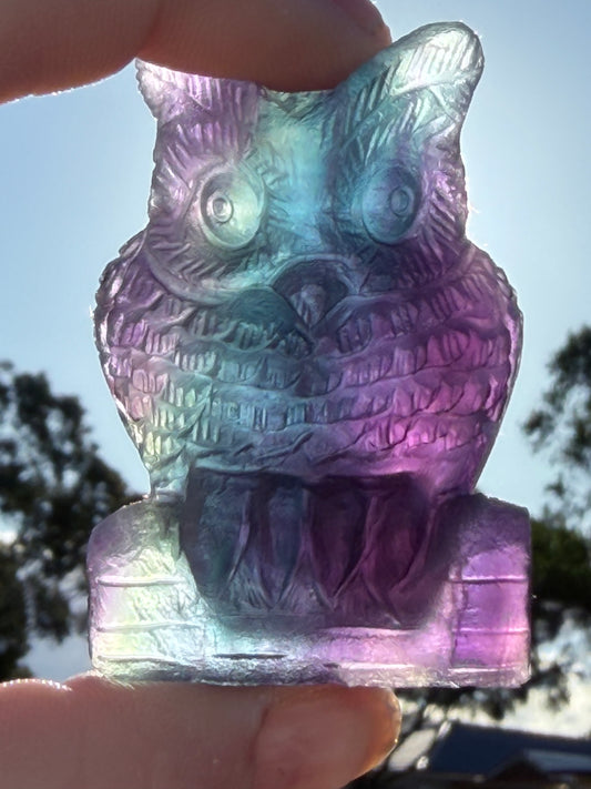Rare Blue & Pink Rainbow Fluorite Owl Carving – 5.1cm