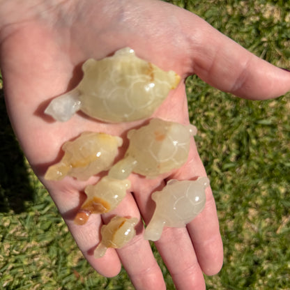 Yellow Calcite Turtle Family Carving – 6 Piece Set