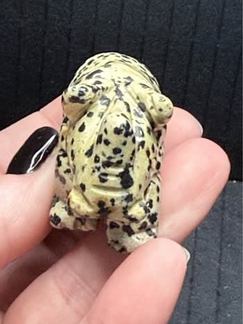 🦏🖤 Dalmatian Stone Rhinoceros Carving 🤍🐾