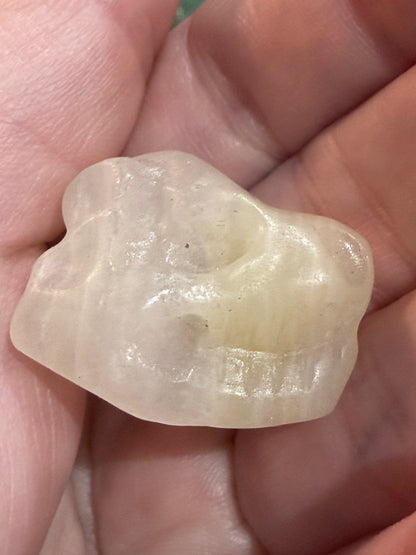Dinosaur Skull Crystal Mini Carving – Various Materials