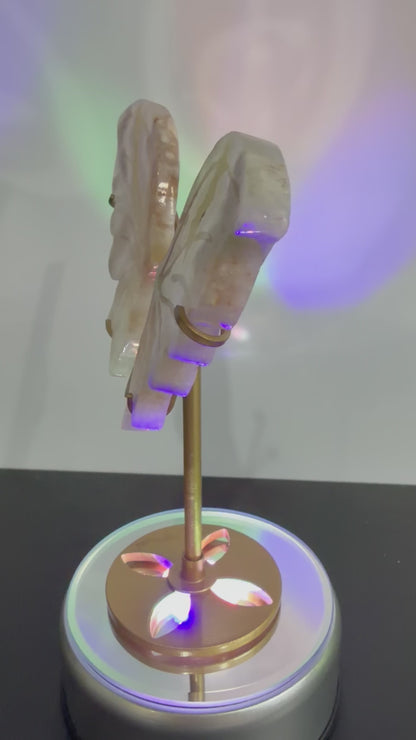 Flower Agate Butterfly Crystal Display on Stand – 15 cm