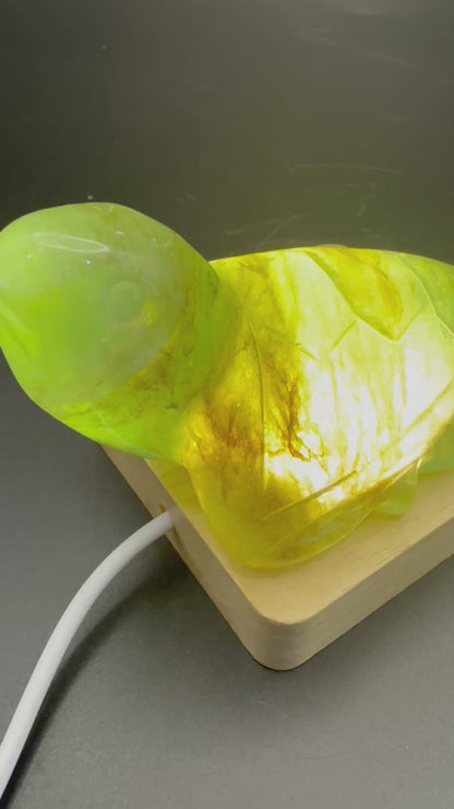 Extra Special Fluorite Turtle with Dendritic Inclusions