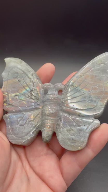 Rainbow Labradorite Butterfly on Stand