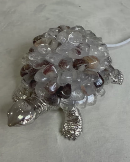 Garden Quartz Turtle Colour Changing USB Lamp A