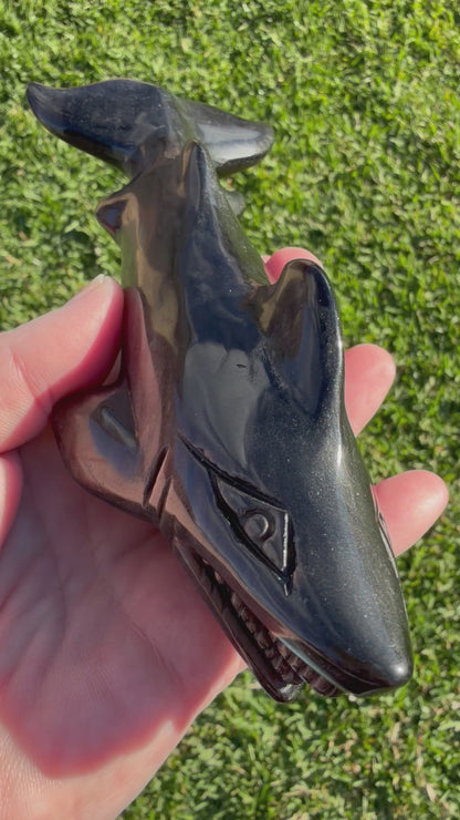 Silver Sheen Obsidian Shark Carving 323g | 17cm