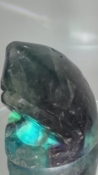 Blue Fluorite Shark Carving 7.2cm | 242g