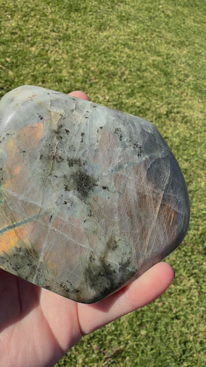 Labradorite Freeform Stunning Flash