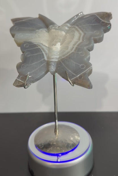 Agate Druzy Butterfly Carving with Metal Zodiac Stand – 15cm