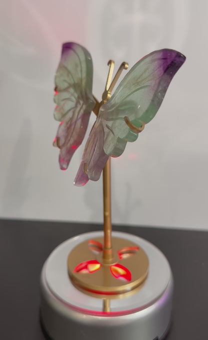 Rainbow Fluorite Butterfly Crystal Display on Stand – 15 cm