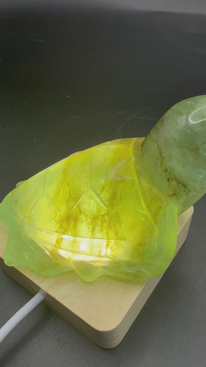 Extra Special Fluorite Turtle with Dendritic Inclusions