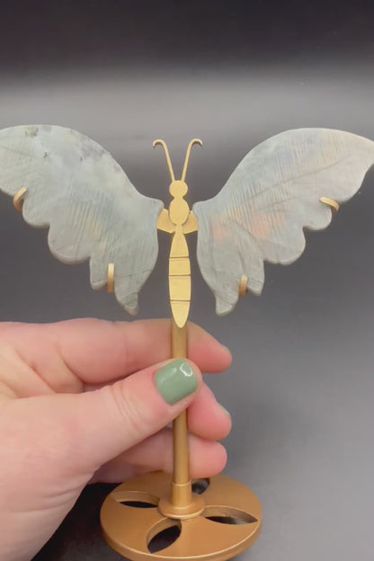 Labradorite Butterfly with Stand