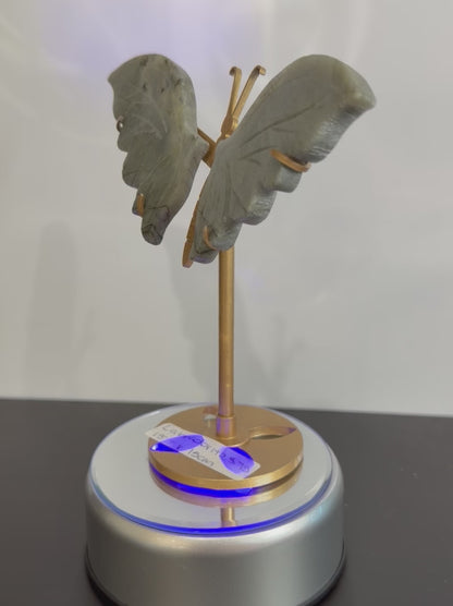 Labradorite Butterfly Crystal Display on Stand – 15 cm
